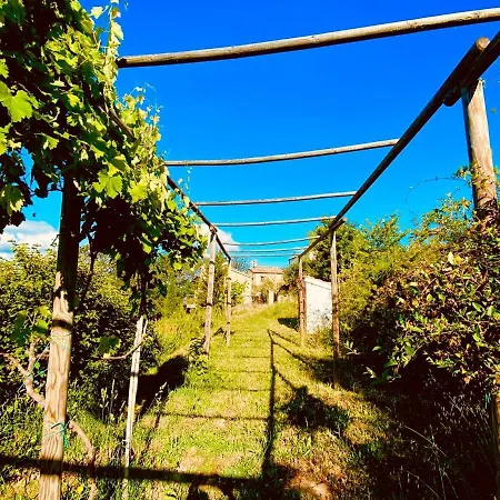 Borgo Del Ginepro * Castiglione Messer Raimondo